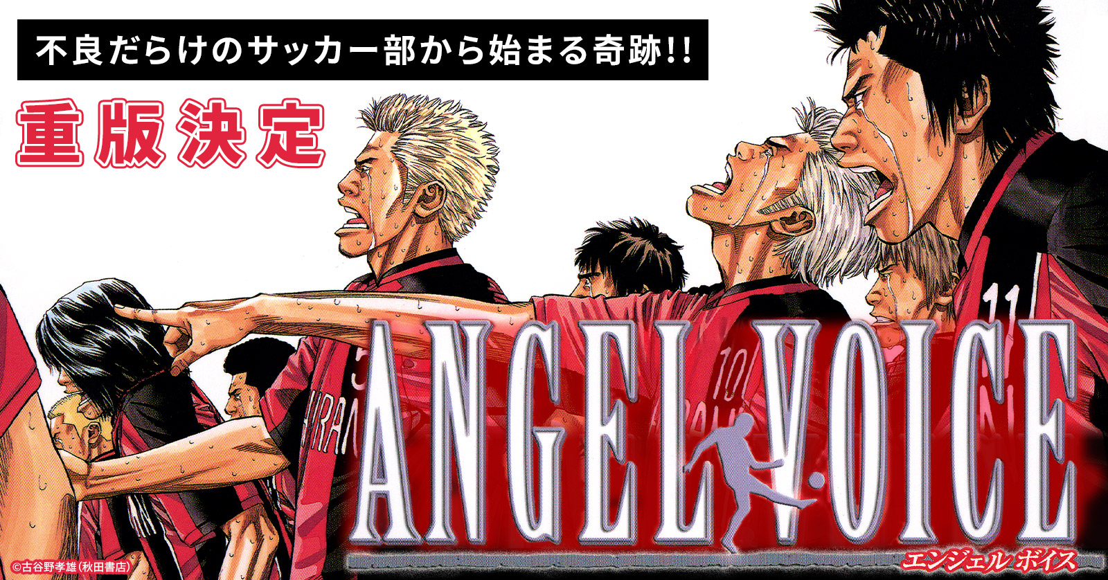 『ANGELVOICE』特集